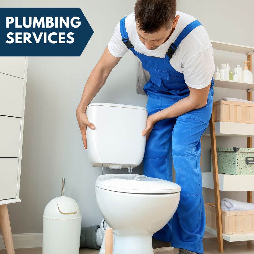 Plumbing Company in Mayo, FL